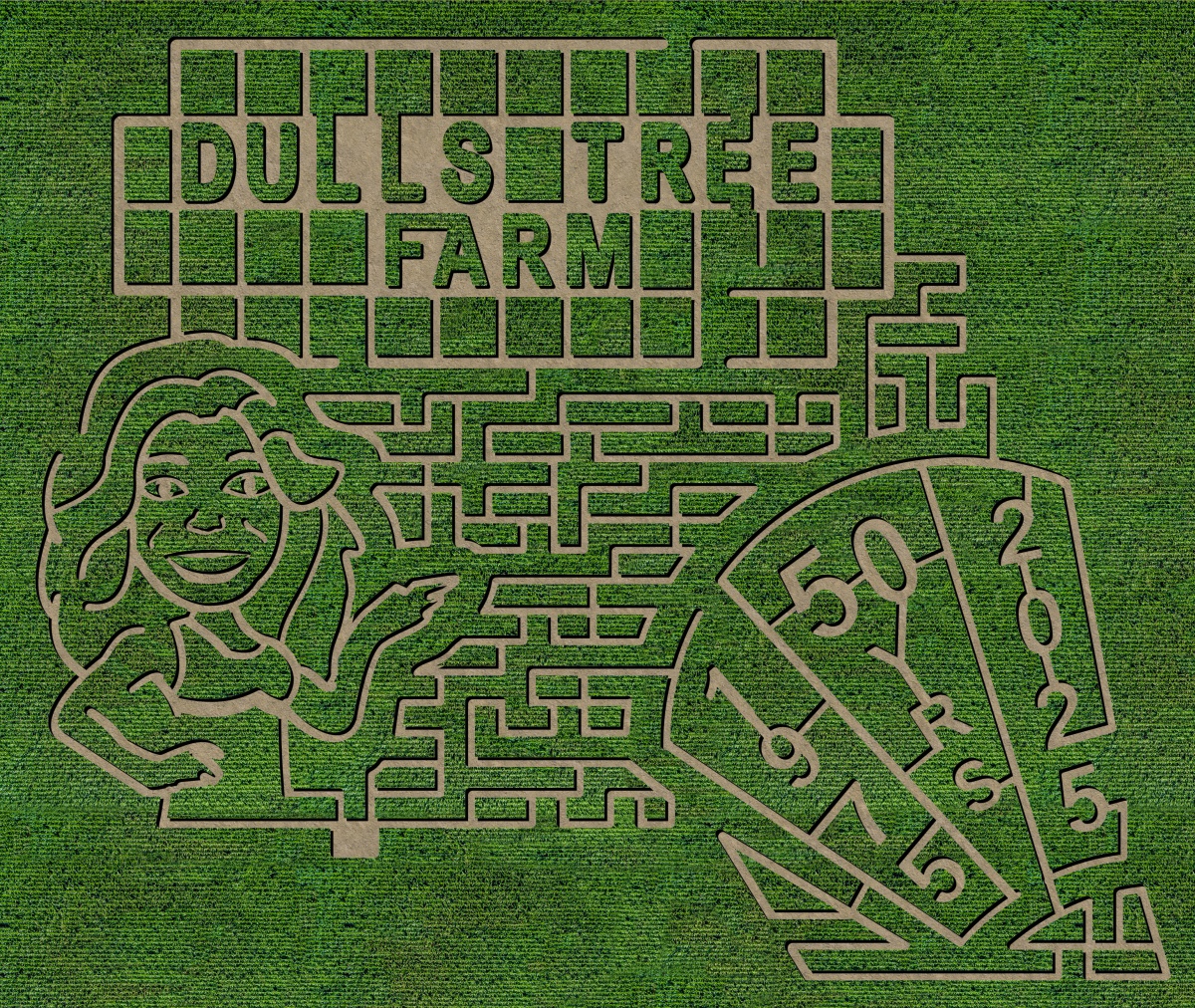 Corn Maze - Indianapolis - Wheel of Fortune - Fall Fun - Pumpkin Patch